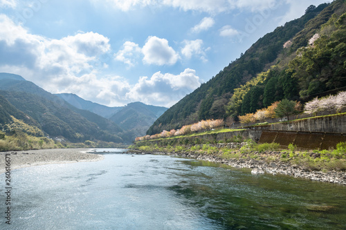 春の四万十川