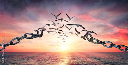 Fototapeta On The Wings Of Freedom - Birds Flying And Broken Chains - Charge Concept