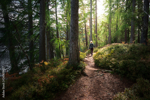 Woman walking through forest with sunflare