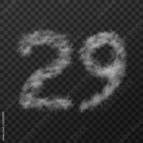 vector design of smoke textured number means twenty nine, isolated on transparent background