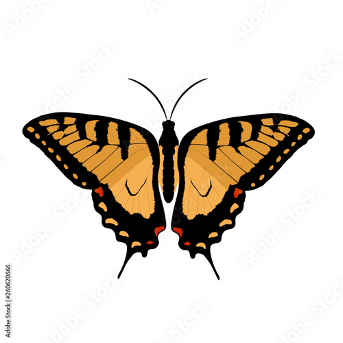 Mariposa Ataleofmoret Swallowtail