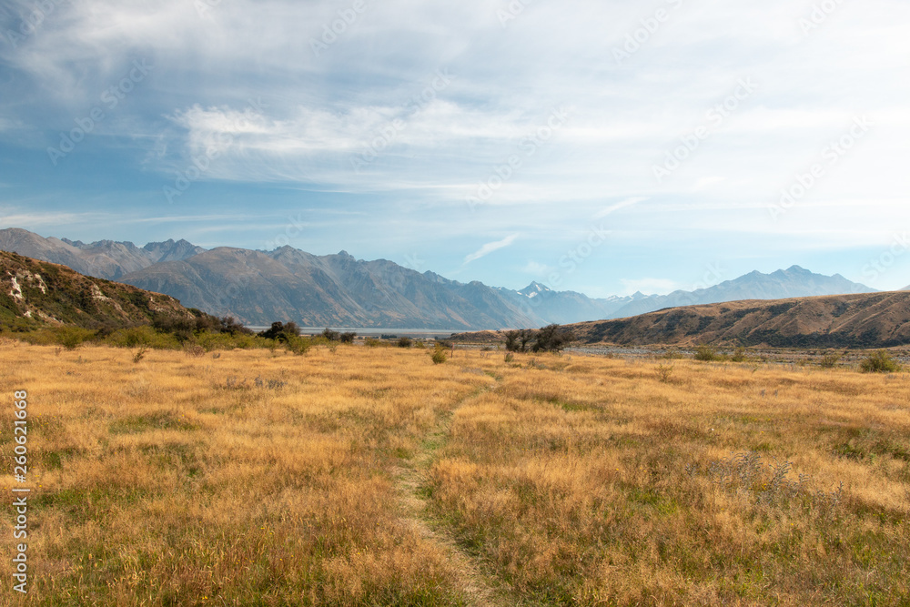Walking trail in Hakatere Conservation Park, Canterbury, New Zealand