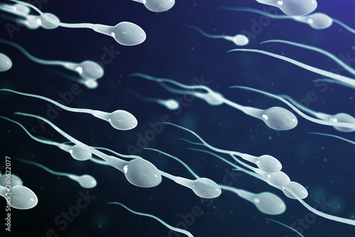 3D illustration sperm approaching egg cell, ovum. Natural fertilization - close-up view. Conception, the beginning of a new life. Sperm under the microscope, movement sperm photo