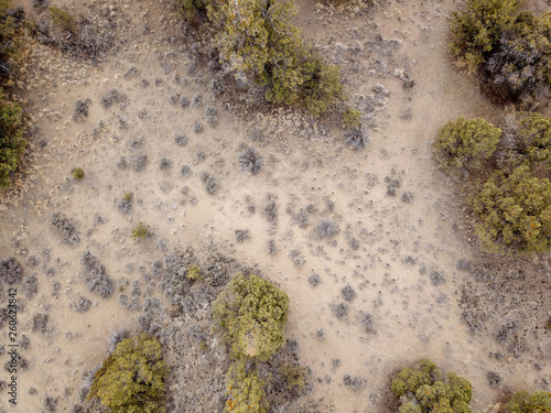 Looking Down on a Desert Scene