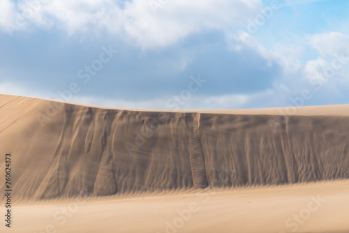 Windy desert sand dune. Small streams of sand shows how much the dunes move. Beautiful cloudy sky.