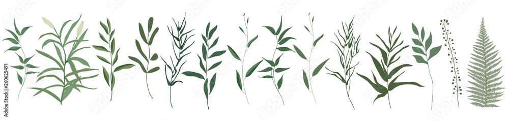 Big set botanic elements. Branches with leaves, herbs, wild plants, trees. Garden and exotic, tropical collection leaf, foliage, branches. Vector illustration isolated on white background Big set botanic elements. Branches with leaves, herbs, wild plants, trees. Garden and exotic, tropical collection leaf, foliage, branches. Vector illustration isolated on white background
