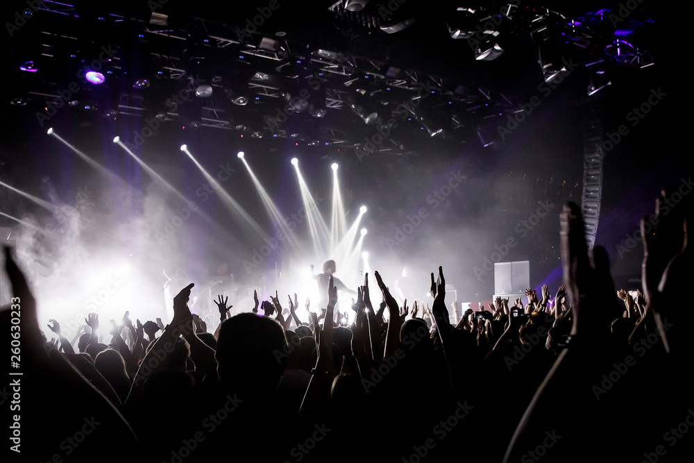 Crowd on music show, happy people with raised hands. White stage light. Frontman on stage.