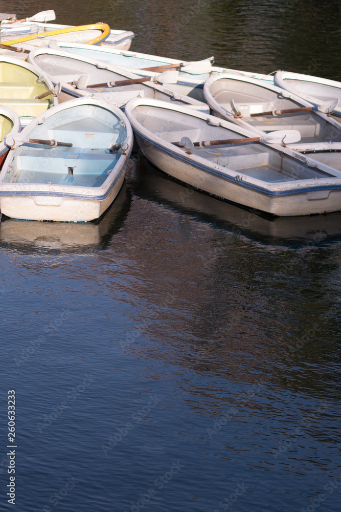 Boats of the lake in the park Boats of the lake in the park