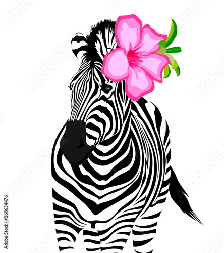 Zebra with pink flower. Wild animal texture. Striped black and white. Vector illustration isolated on white background.
