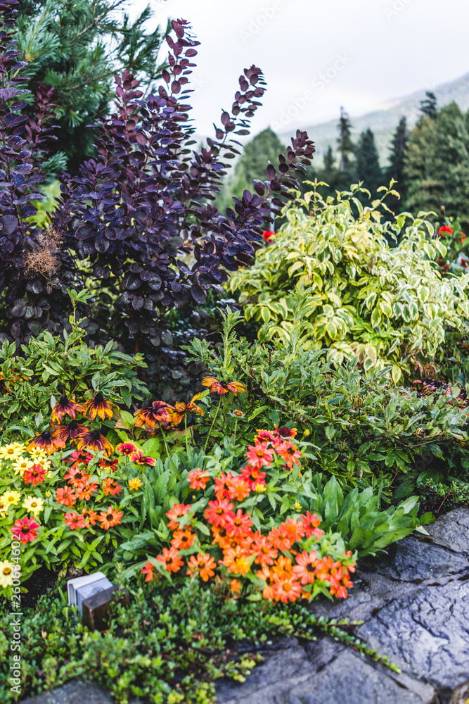 winter flowers and foliage