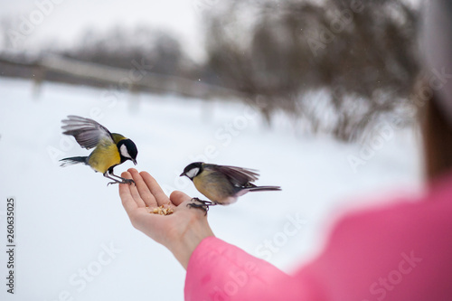 the bird is a grain with human hands in the winter