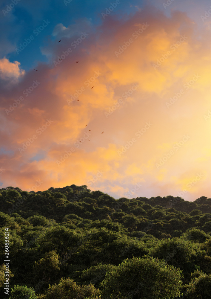 concept art of fantasy countryside landscape with majestic sunset concept art of fantasy countryside landscape with majestic sunset