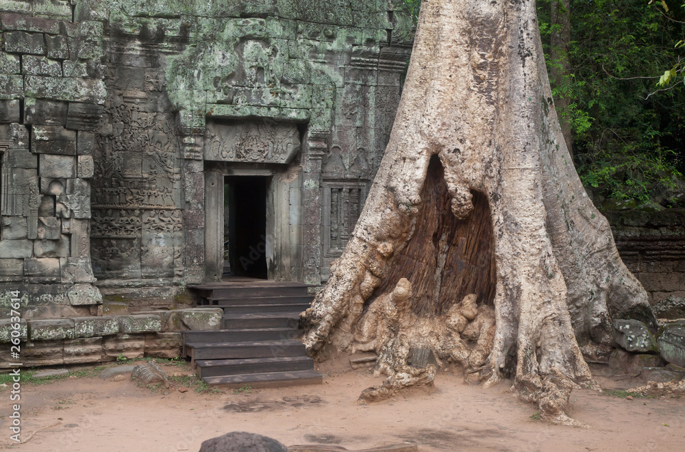 Naklejka premium Ta Prohm Temple ( Siem Reap region, Cambodia)
