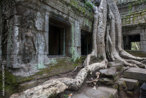 Billede på lærred Ta Prohm Temple ( Siem Reap region, Cambodia)