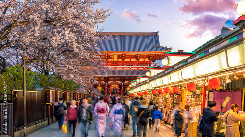 Tourists at shopping street in Asakusa, Tokyo, Japan with sakura trees (Japanese letters on the red lantern meaning “The name of a town adherent to the temple”)