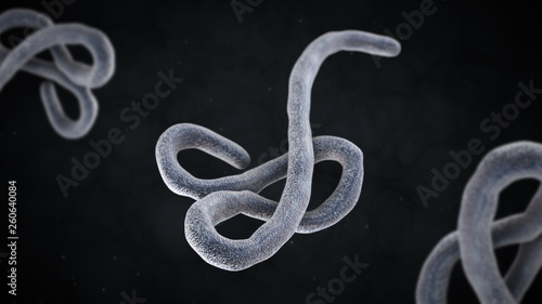 3D illustration of ebola virus photo