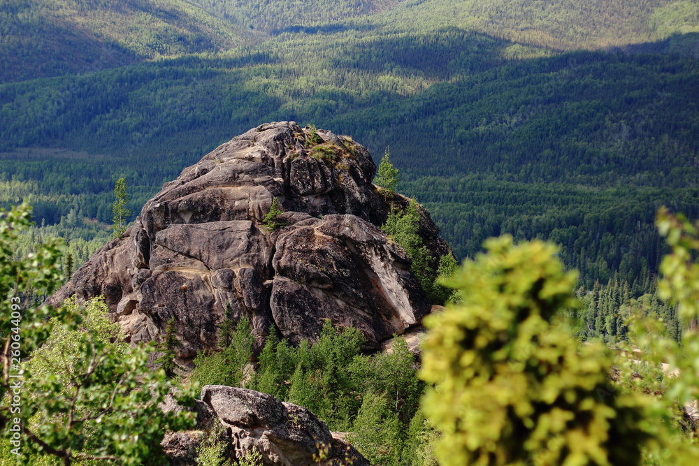Big rock in on a hill, rock in forest, landscape of Angle rock Alaska
