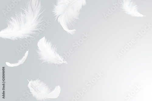 feather abstract background. white feathers floating in the air.