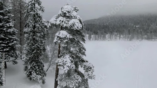 Passing promontory with snowy trees in frozen lake covered by snow on an overcast day just outside Oslo, Norway. Drone passing close. photo