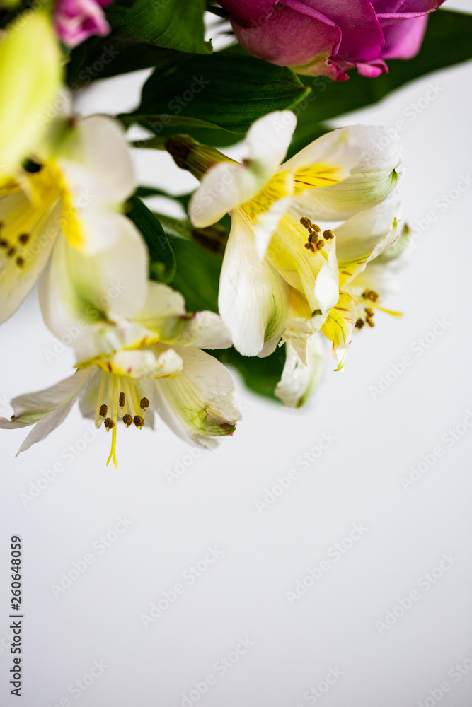 Obraz premium Spring Floral Arrangement
