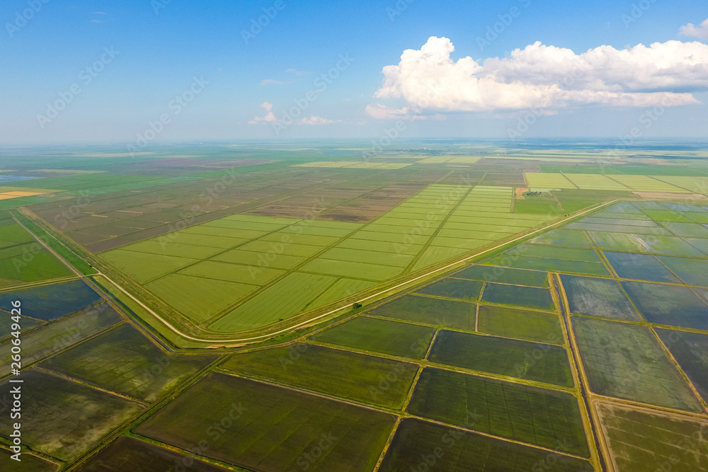 The rice fields are flooded with water. Flooded rice paddies. Agronomic methods of growing rice in the fields. The rice fields are flooded with water. Flooded rice paddies. Agronomic methods of growing rice in the fields.