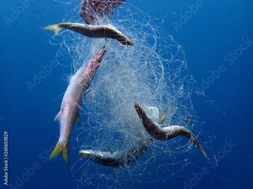 Ghost nets are commercial fishing nets that have been lost, abandoned, or discarded at sea of Tunku Abdul Rahman Park, Kota Kinabalu, Sabah. Malaysia, Borneo. photo