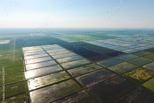 The rice fields are flooded with water. Landscape in front of the sun. Flooded rice paddies. Agronomic methods of growing rice in the fields. photo