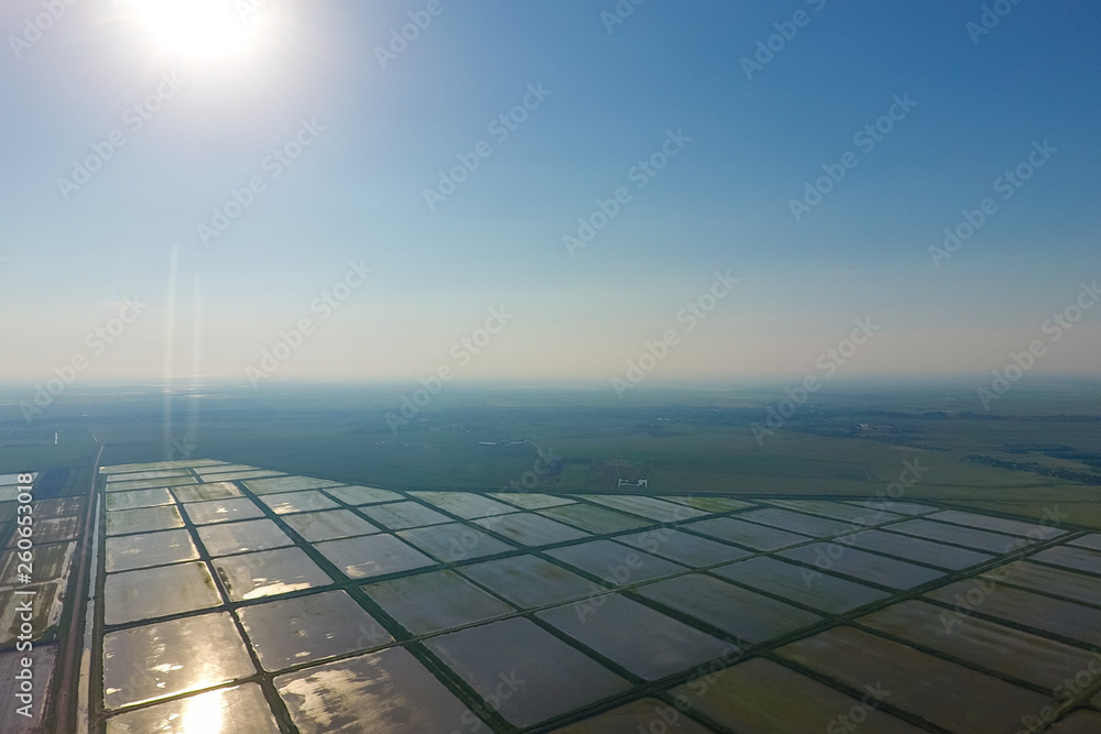 The rice fields are flooded with water. Landscape in front of the sun. Flooded rice paddies. Agronomic methods of growing rice in the fields. The rice fields are flooded with water. Landscape in front of the sun. Flooded rice paddies. Agronomic methods of growing rice in the fields.