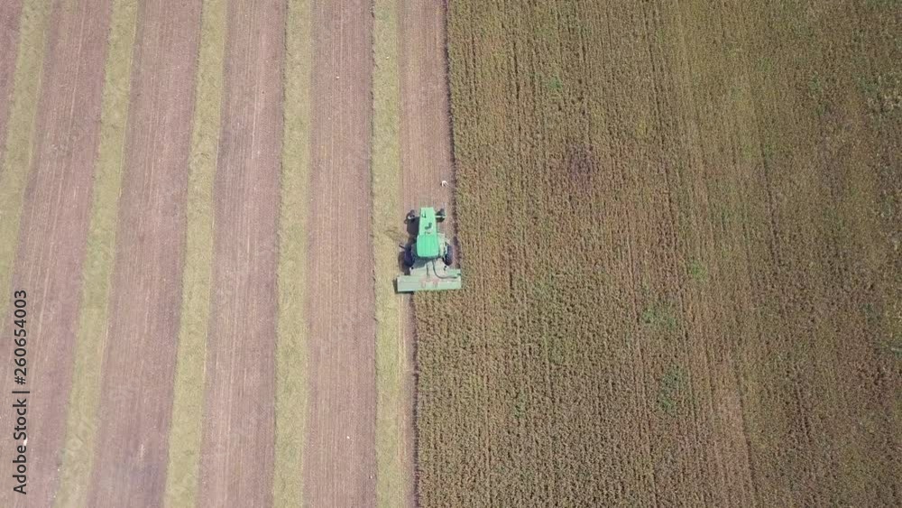 Combine harvesting Wheat for silage in a large field, Aerial follow footage. Combine harvesting Wheat for silage in a large field, Aerial follow footage.