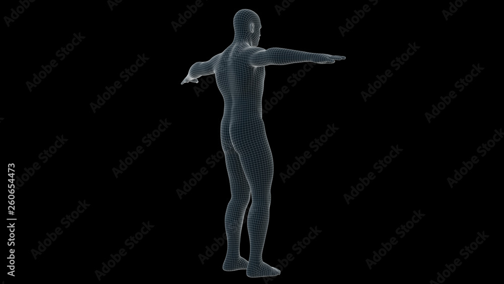 3d illustration of a man xray hologram
