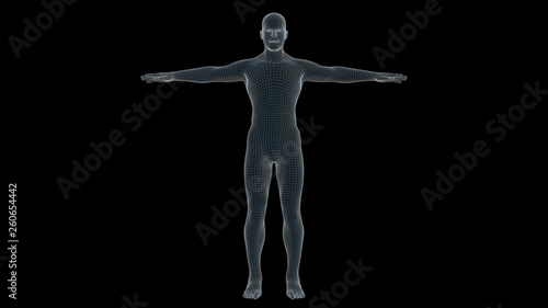3d illustration of a man xray hologram