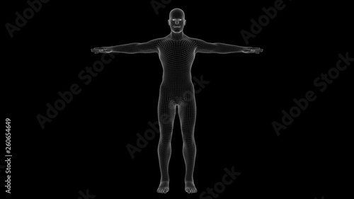 3d illustration of a man xray hologram