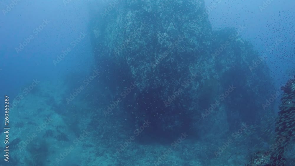 Two silver Queenfish dart away from a deep underwater pinnacle in the Gulf of Thailand. Two silver Queenfish dart away from a deep underwater pinnacle in the Gulf of Thailand.