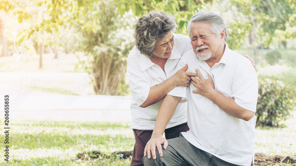 Fototapeta premium Senior male Asian suffering from bad pain in his chest heart attack at garden park , Wife supporting husband - Elderly couple senior heart disease