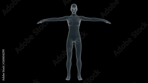 3d illustration of a woman xray hologram