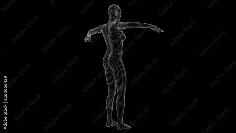3d illustration of a woman xray hologram