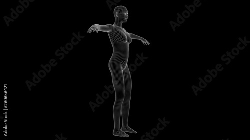 3d illustration of a woman xray hologram