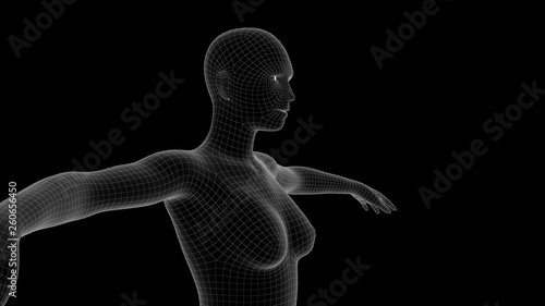 3d illustration of a woman xray hologram