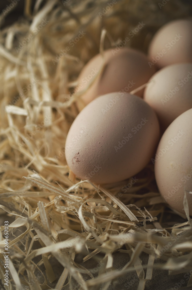 Natural, organic eggs for Easter Natural, organic eggs for Easter