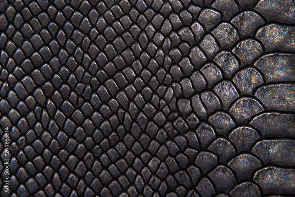 Background texture black leather reptiles Background texture black leather reptiles
