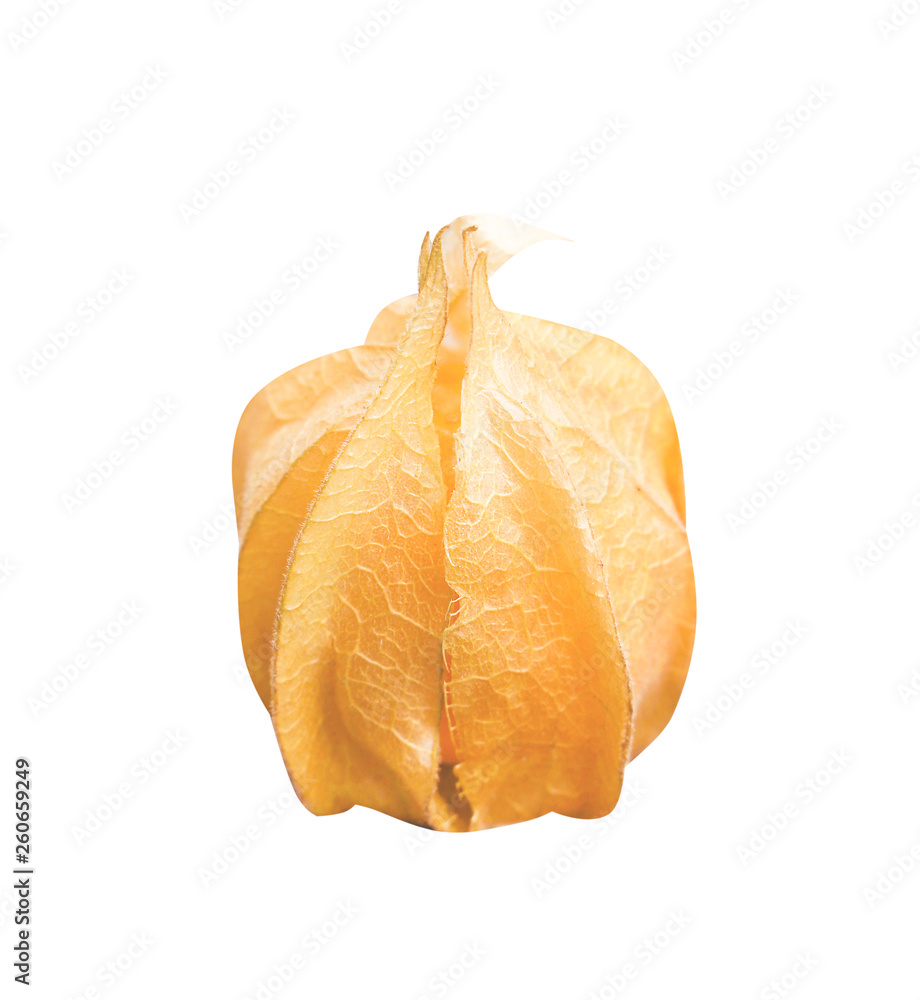 Tasty cape gooseberries isolated on white background with clipping path , off Tasty cape gooseberries isolated on white background with clipping path , off