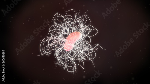 3D illustration of a clostridium difficile bacteria photo