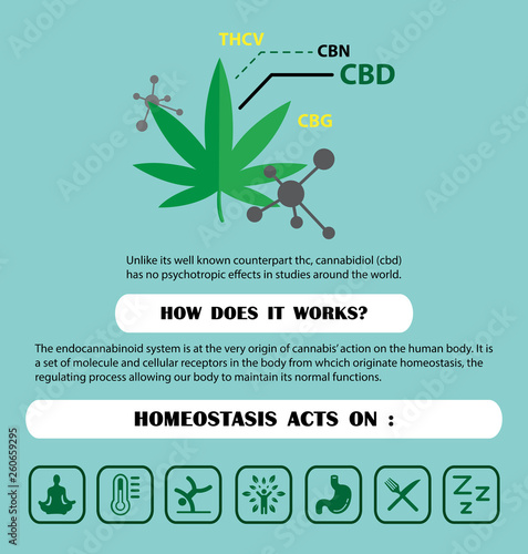homeostasis acts of cannabis photo