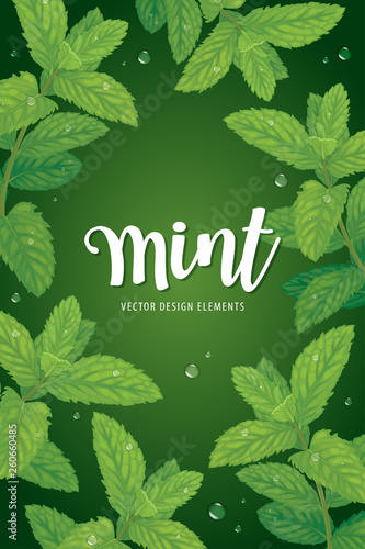Branch of green mint leaves with dew drop on background template. Vector set of element for advertising, banner, packaging design of peppermint products.