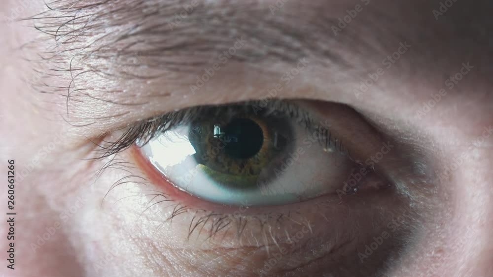 Visions of the Future - Eye Zoom to Asteroid Impact Visions of the Future - Eye Zoom to Asteroid Impact