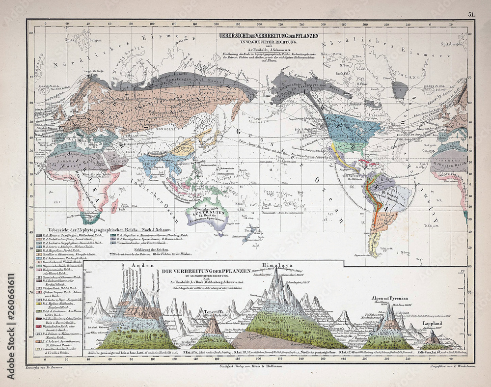 Atlas, infographics.