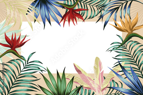 Tropical frame banner abstract flowers leaves