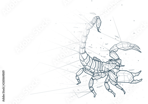 Abstract Scorpion from Low Poly Wireframe Isolated on White Background - Polygonal Image Mash Line Structure, Vector Illustration