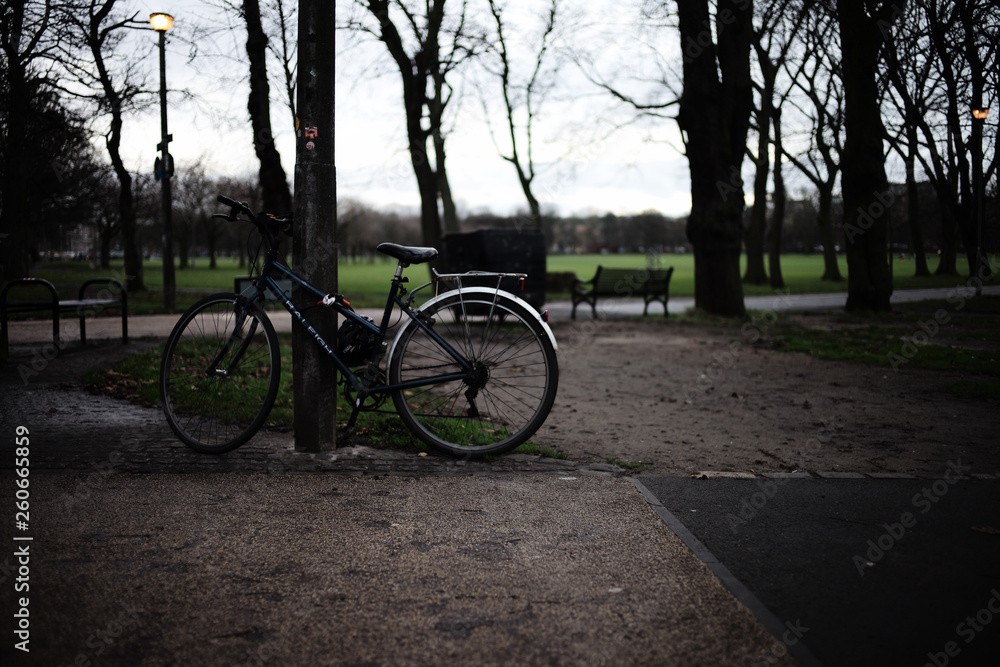 Bicycle at the park
