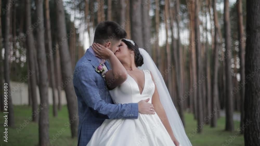 Wedding couple making a kiss. Lovely groom and bride. Happy family Wedding couple making a kiss. Lovely groom and bride. Happy family